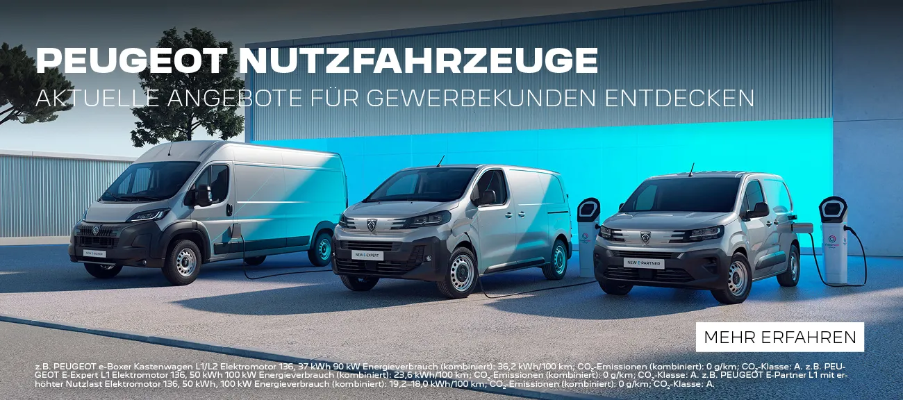 Peugeot NFZ Gewerbe